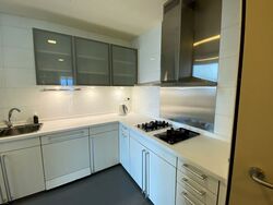 Cairnhill Crest (D9), Condominium #610239821